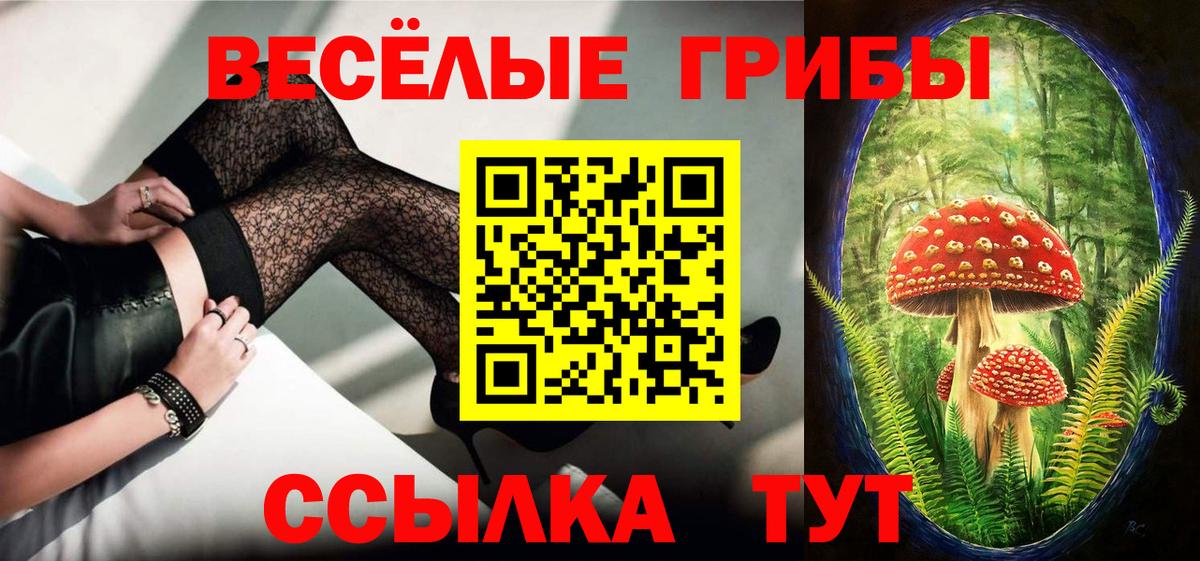 Галлюциногенные грибы ЛСД Обь